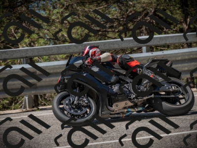 20250601111942-Z62_5025_am_