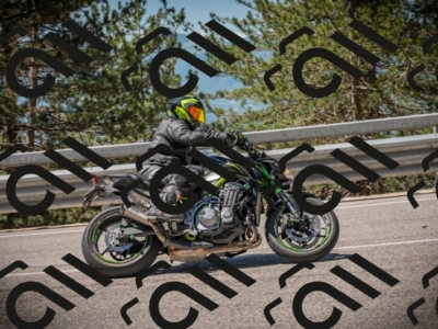 20250601112230-Z62_5071_am_