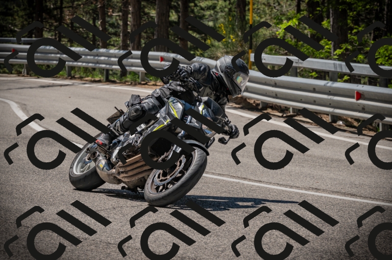 20250601112309-Z62_5097_am_