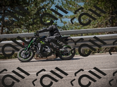 20250601112911-Z62_5170_am_