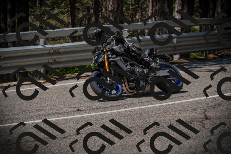 20250601113021-Z62_5184_am_