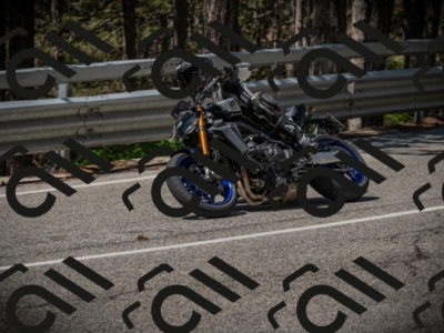 20250601113021-Z62_5184_am_