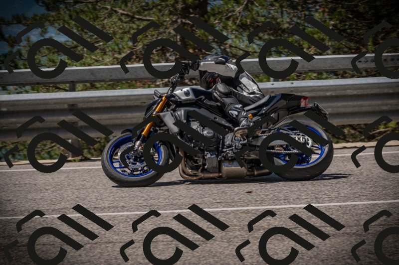 20250601113021-Z62_5186_am_