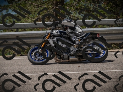 20250601113021-Z62_5186_am_