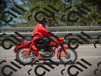 20250601113148-Z62_5207_am_