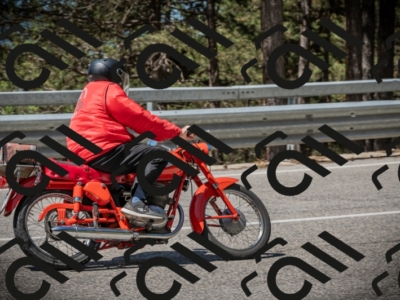 20250601113148-Z62_5208_am_