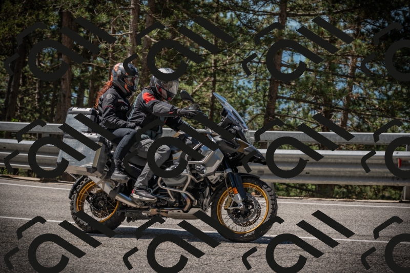 20250601113314-Z62_5237_am_