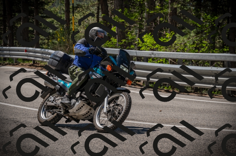 20250601113506-Z62_5264_am_