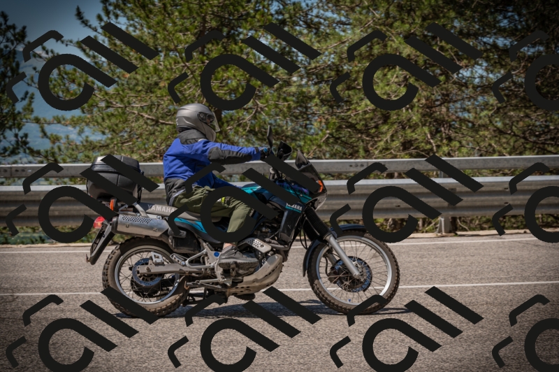 20250601113507-Z62_5265_am_