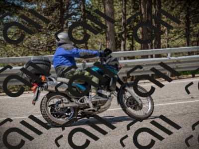 20250601113507-Z62_5266_am_