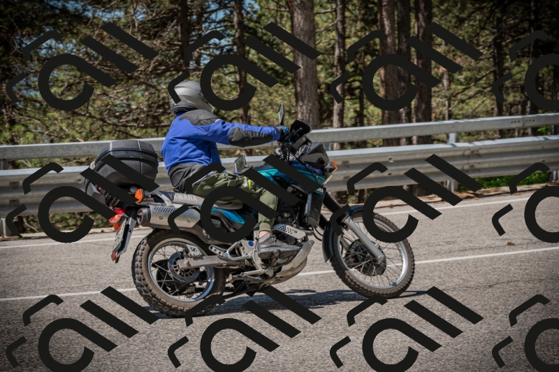 20250601113507-Z62_5266_am_