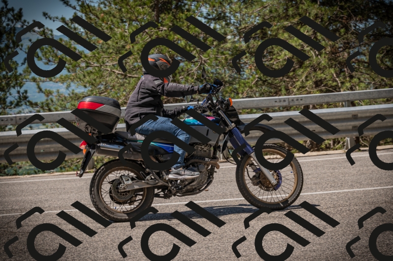 20250601113521-Z62_5270_am_