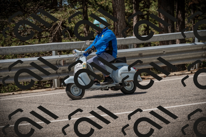 20250601113939-Z62_5310_am_