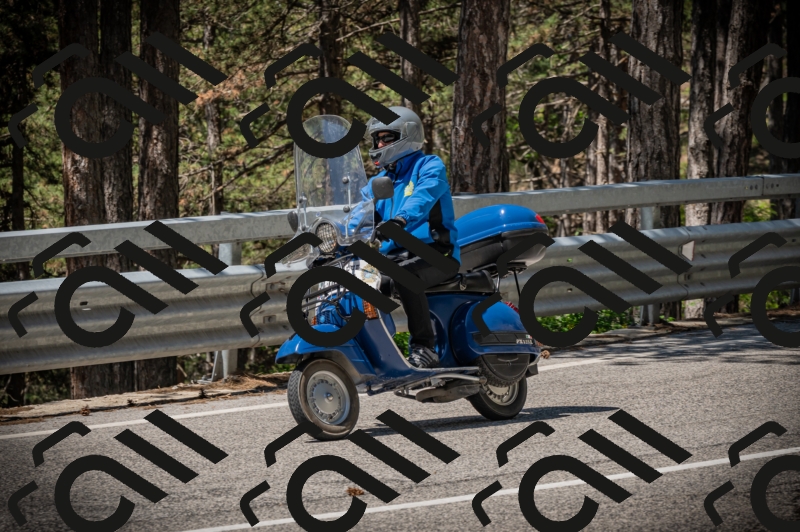 20250601113942-Z62_5315_am_