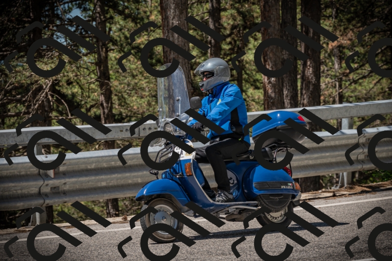 20250601113942-Z62_5316_am_