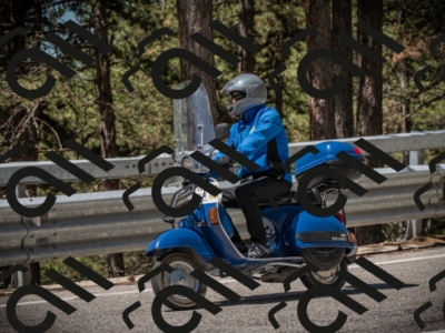 20250601113942-Z62_5316_am_