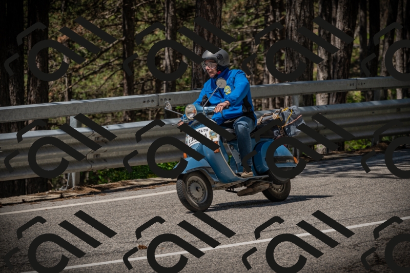 20250601113946-Z62_5320_am_