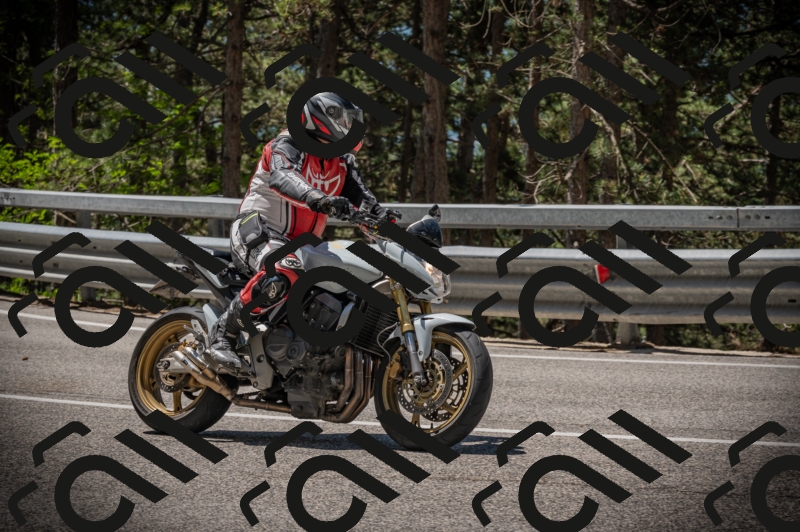 20250601114207-Z62_5344_am_