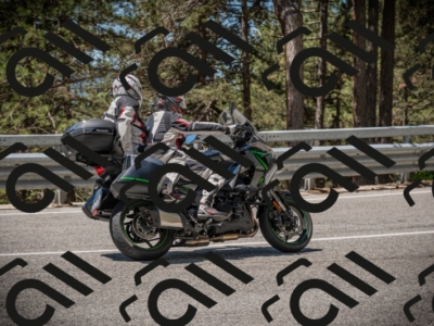 20250601114512-Z62_5394_am_