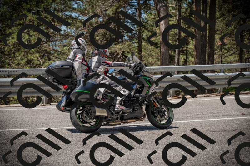 20250601114512-Z62_5394_am_