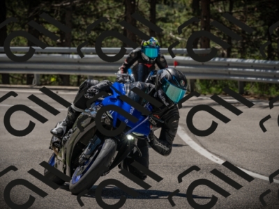 20250601114926-Z62_5431_am_