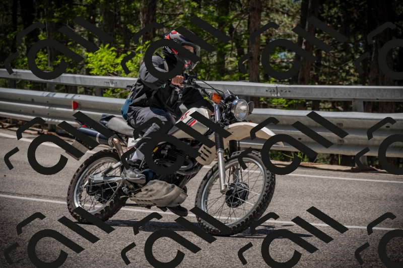 20250601115029-Z62_5448_am_