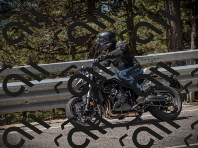 20250601115118-Z62_5478_am_