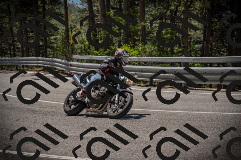 20250601115402-Z62_5512_am_