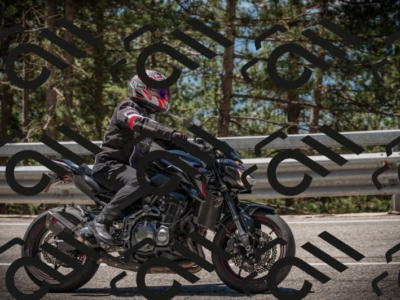 20250601115845-Z62_5582_am_