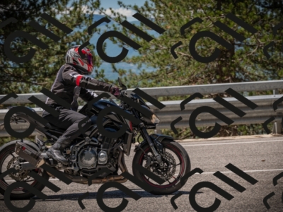 20250601115846-Z62_5583_am_