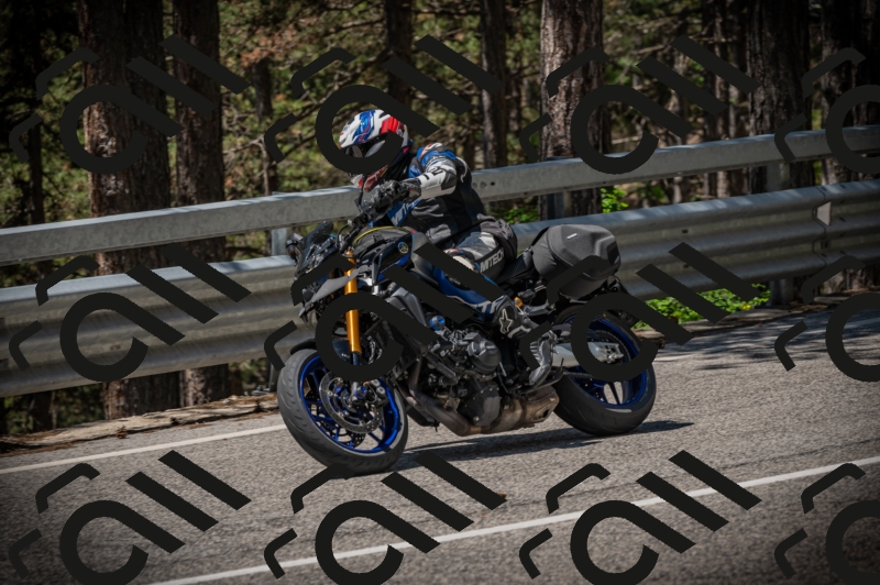 20250601120001-Z62_5593_am_