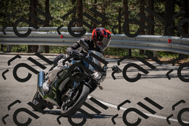 20250601123141-_Z626282_am_