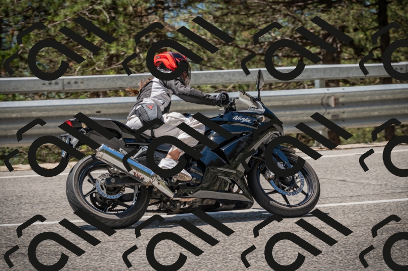 20250601123142-_Z626285_am_