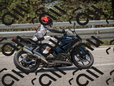 20250601123142-_Z626285_am_