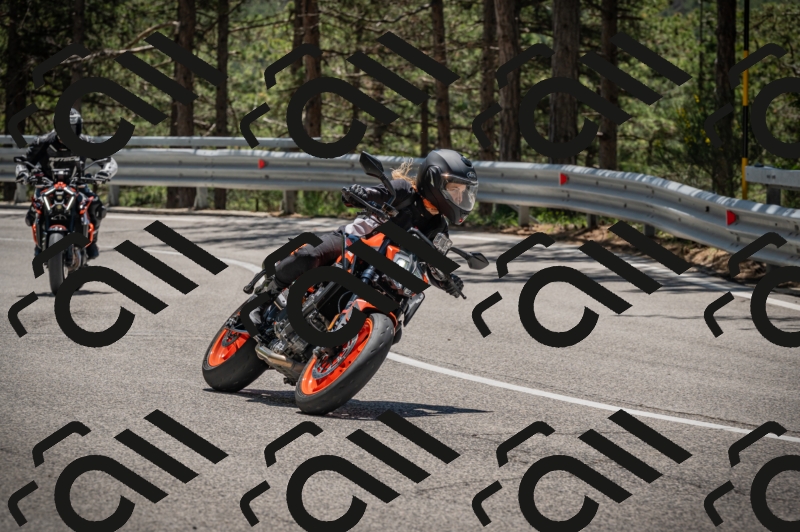 20250601123913-_Z626452_am_