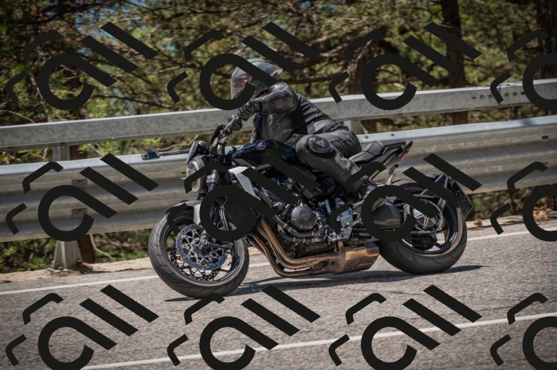 20250601124021-_Z626491_am_