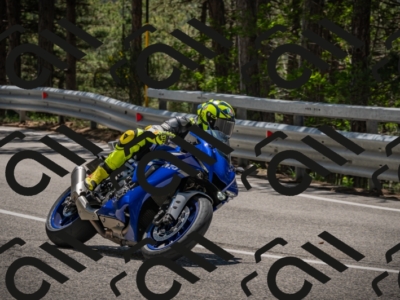 20250601124317-_Z626524_am_