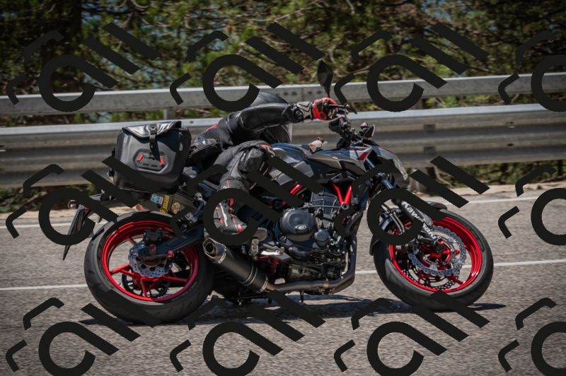 20250601124342-_Z626533_am_