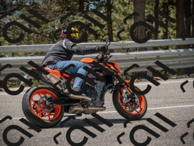 20250601124406-_Z626568_am_