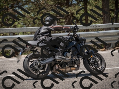 20250601124451-_Z626582_am_