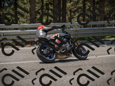 20250601124735-_Z626615_am_