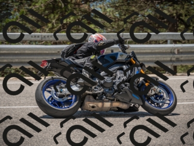 20250601124851-_Z626645_am_