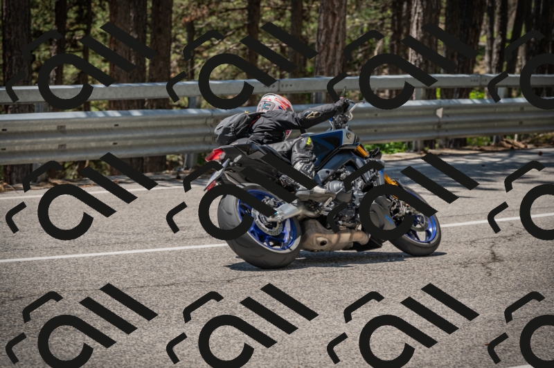 20250601124851-_Z626646_am_