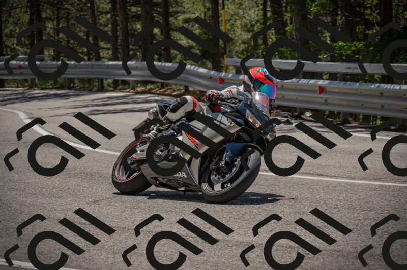 20250601124855-_Z626648_am_