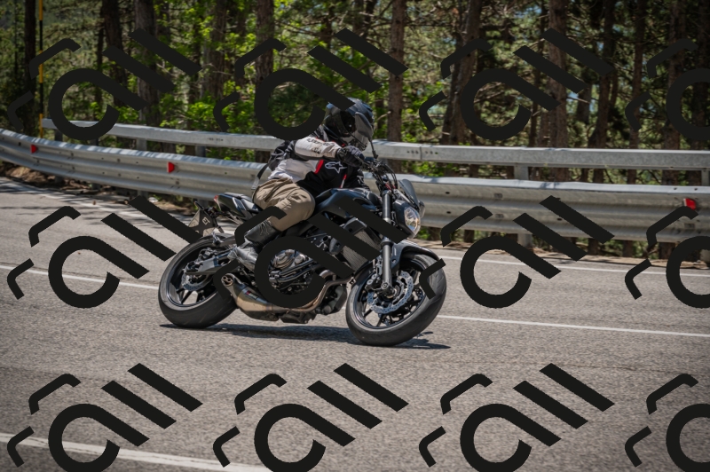 20250601124949-_Z626672_am_