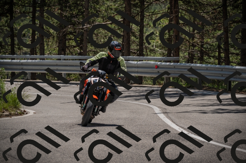 20250601125052-_Z626698_am_