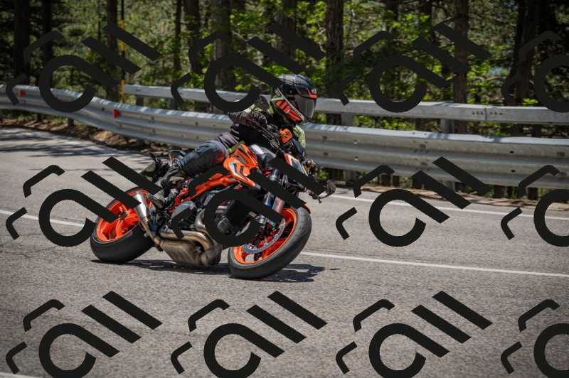 20250601125052-_Z626699_am_