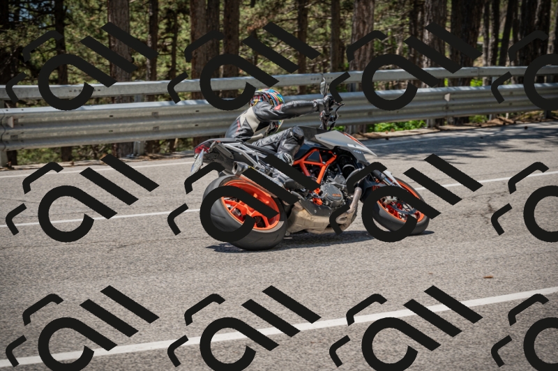 20250601125056-_Z626705_am_