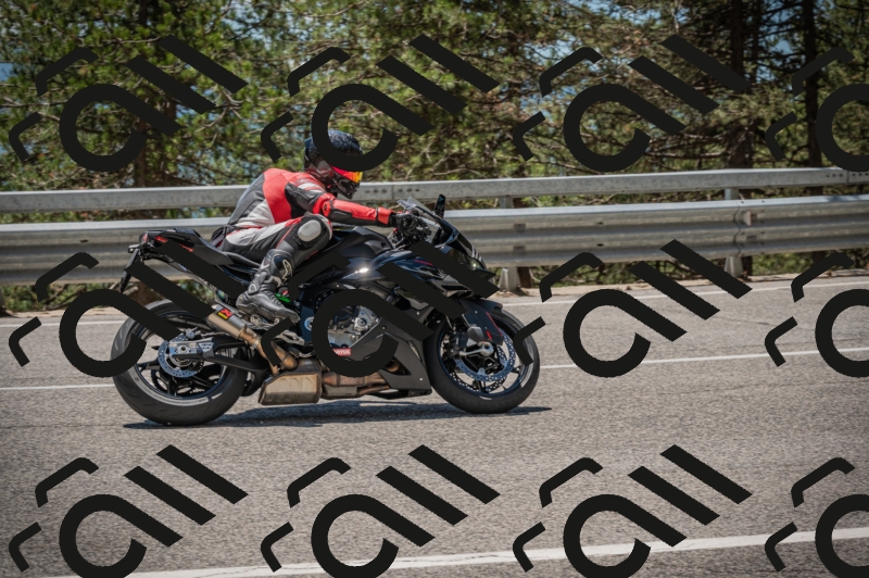 20250601125119-_Z626728_am_