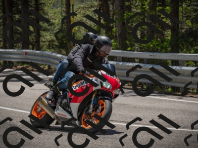 20250601125150-_Z626750_am_